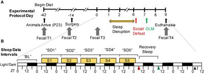 A Prebiotic Diet Alters the Fecal Microbiome and Improves Sleep in Response to Sleep Disruption in Rats